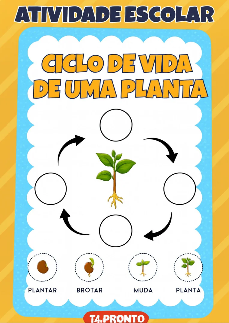 Planilha De Ciclo De Vida Da Planta Para Criancas